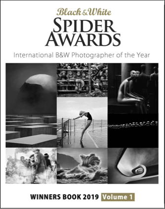 Black & White Spider Awards Winners Book